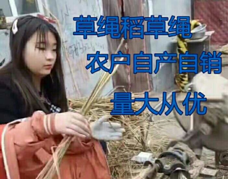 细草绳稻草帘干稻草绳捆绑树木用花木移栽包扎土球保湿防冻长