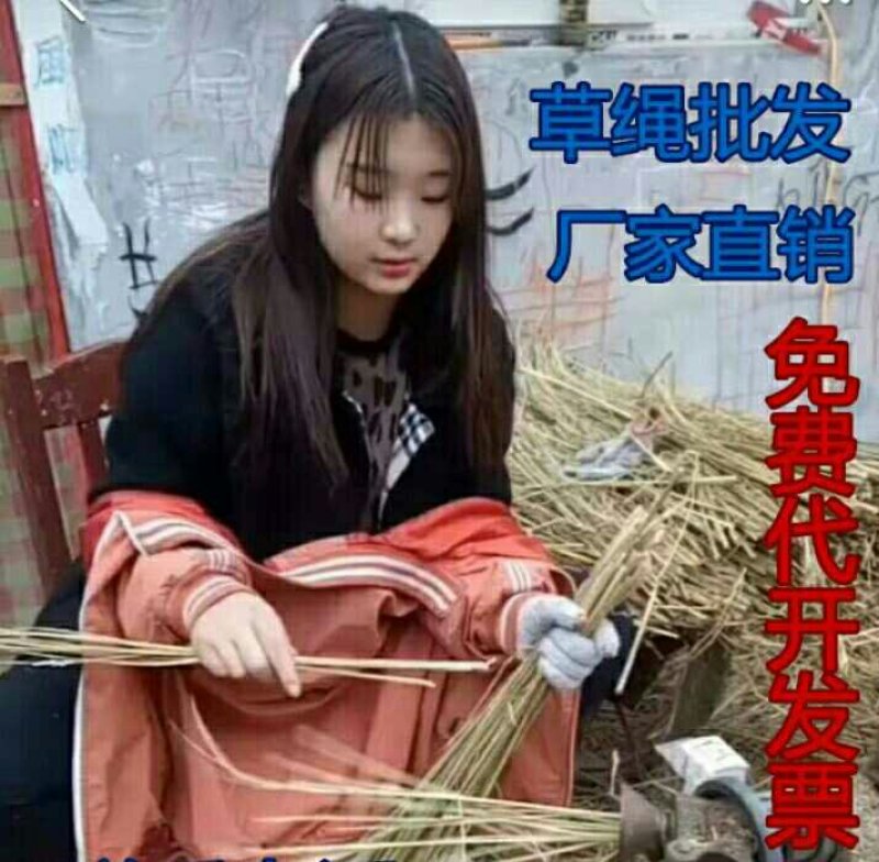 细草绳稻草帘干稻草绳捆绑树木用花木移栽包扎土球保湿防冻长
