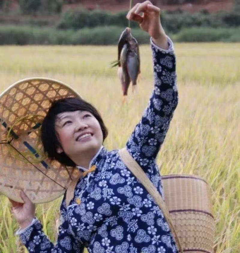 正宗禾花鲤鱼苗养殖场白云机场发货
