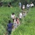正宗禾花鲤鱼苗养殖场白云机场发货