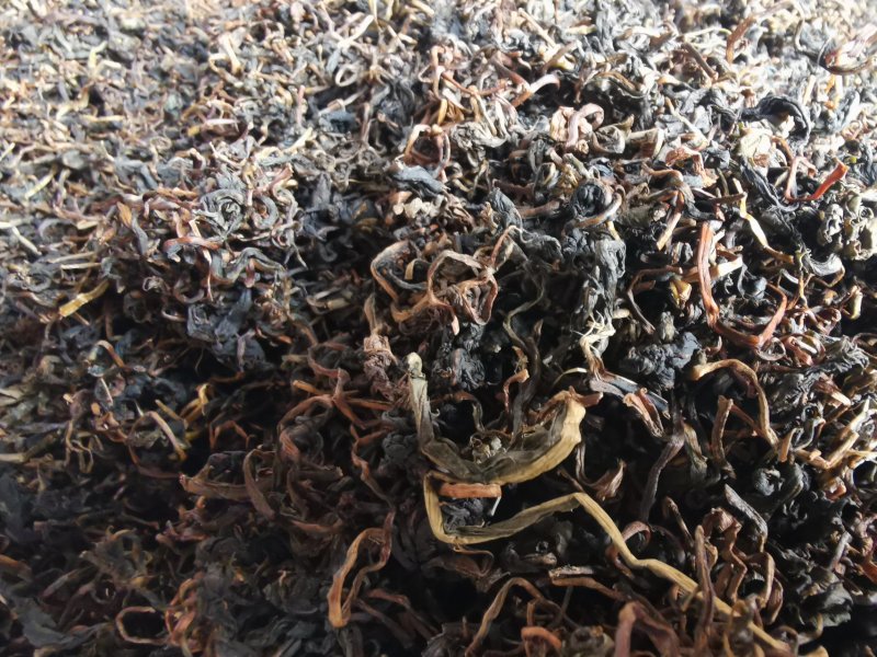 蒲公英茶新鲜蒲公英发酵红茶一件代发