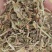 花生秧草料羊草牛草今年新草干净无土无地膜无霉