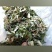野生白背草，价格贵在品质，量大优惠，咨询有货下单