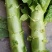 蔬菜