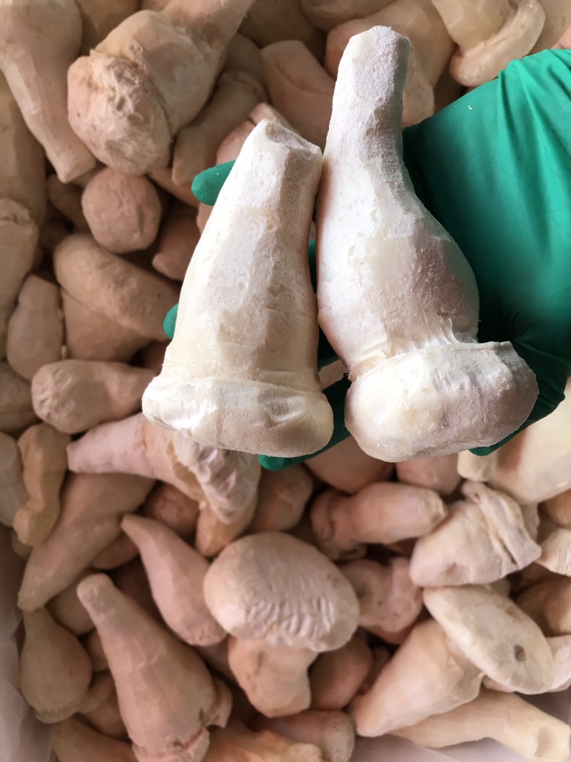 老人头菇云南土特产产地批发野生老人头菌冰鲜冻货