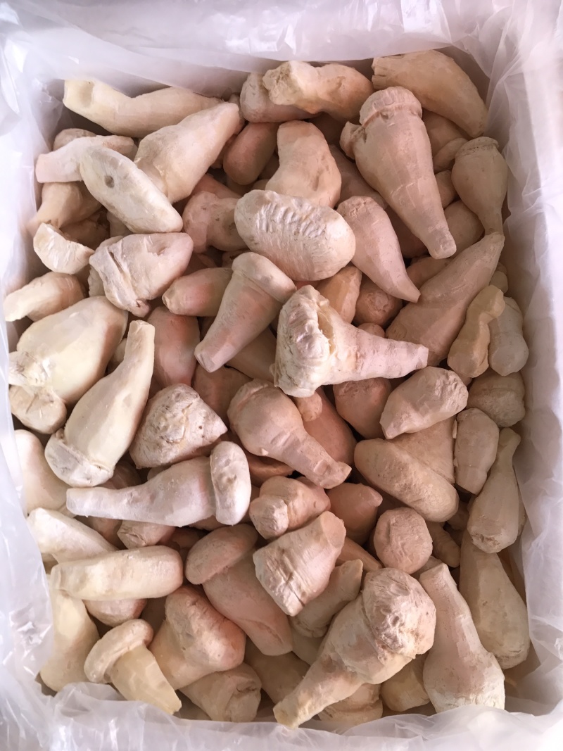 老人头菇云南土特产产地批发野生老人头菌冰鲜冻货