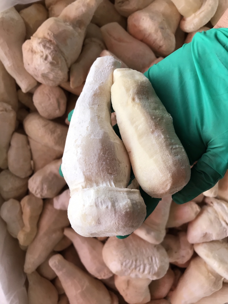 老人头菇云南土特产产地批发野生老人头菌冰鲜冻货