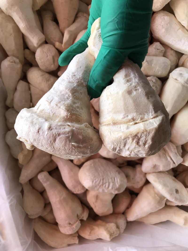 老人头菇云南土特产产地批发野生老人头菌冰鲜冻货