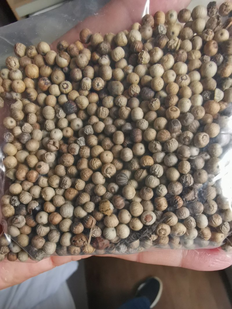 印尼进口胡椒足干