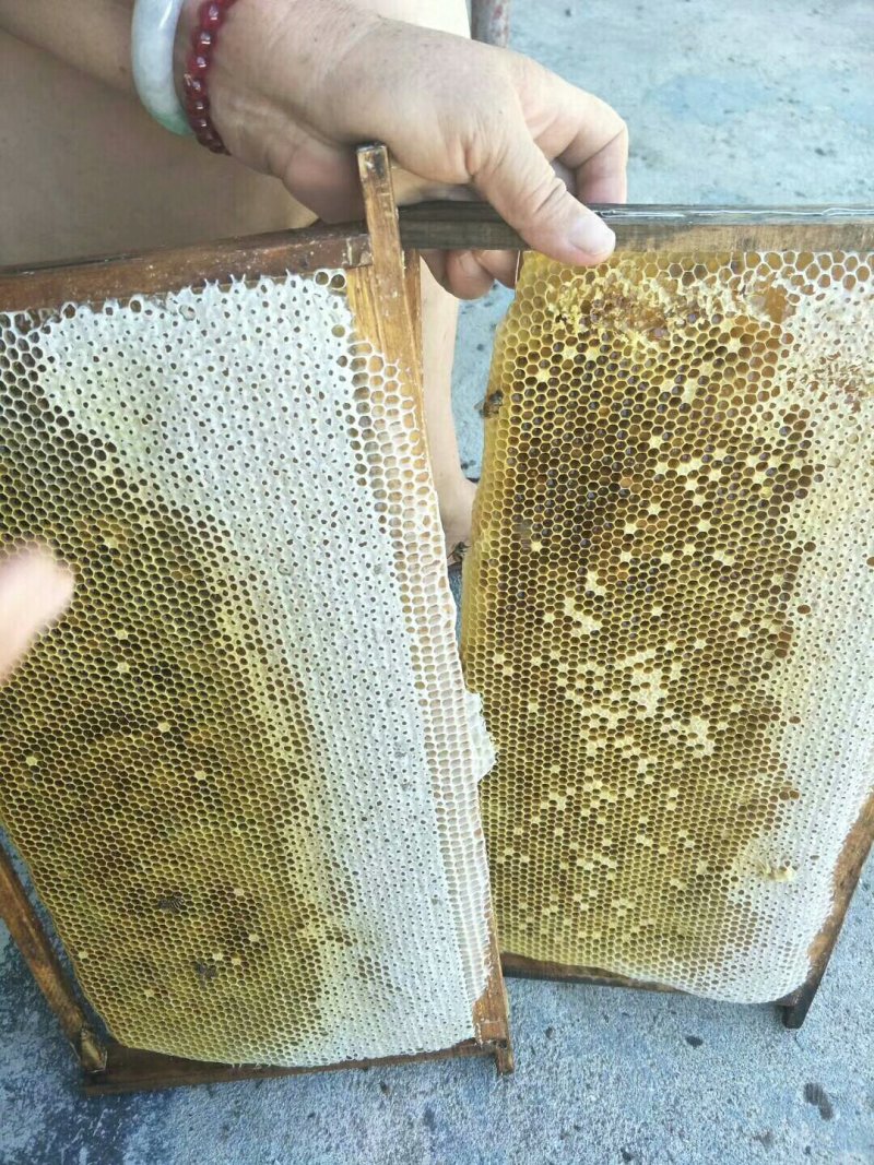 有好货蜂蜜冬蜜光泽透明香气宜人滋味甜润口感细腻