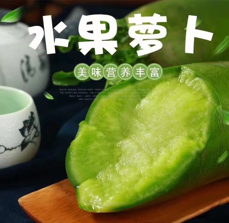 山东青萝卜里外青潍坊青萝卜青茬供货量大，价格合理