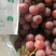 河北省张家口市涿鹿县精品红提颜色好看颗粒大