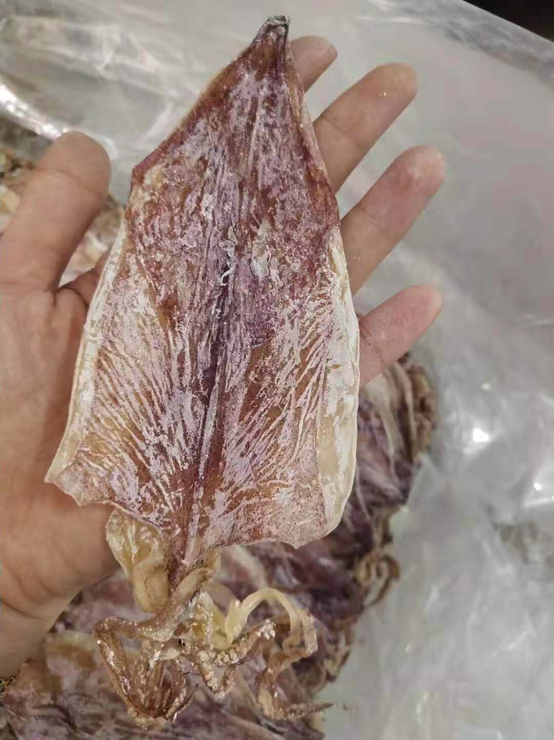 广东南澳岛农村人精心制作，优质鱿鱼干，海船深海捕捞，欢迎订购