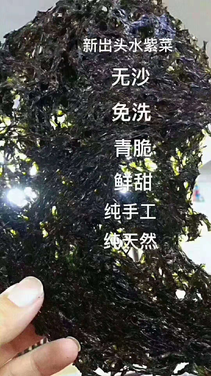 广东南澳岛农村人精心制作，本港头水紫菜二遍紫菜欢迎订购