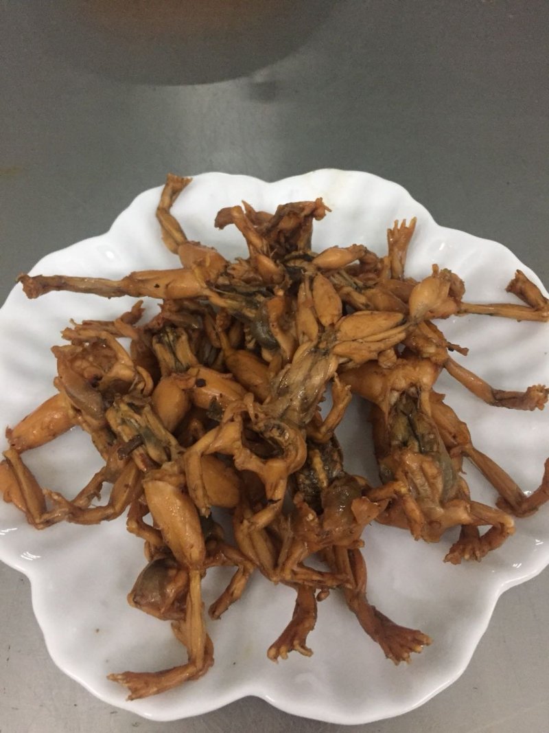 养殖虎斑蛙:香辣青蛙(蛙小弟)