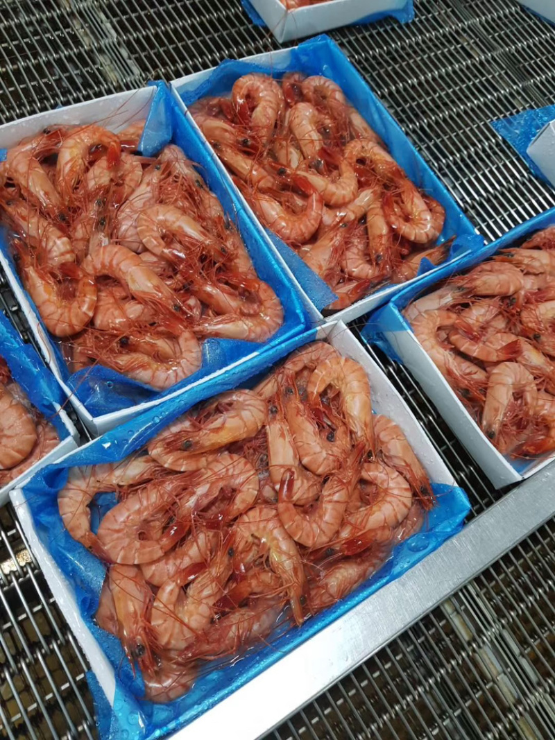越南进口熟冻黑虎虾，全规格全年现货