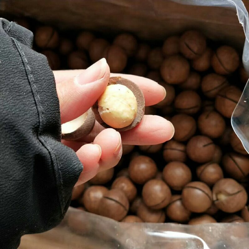 夏威夷大果奶香味特别好吃精河直发