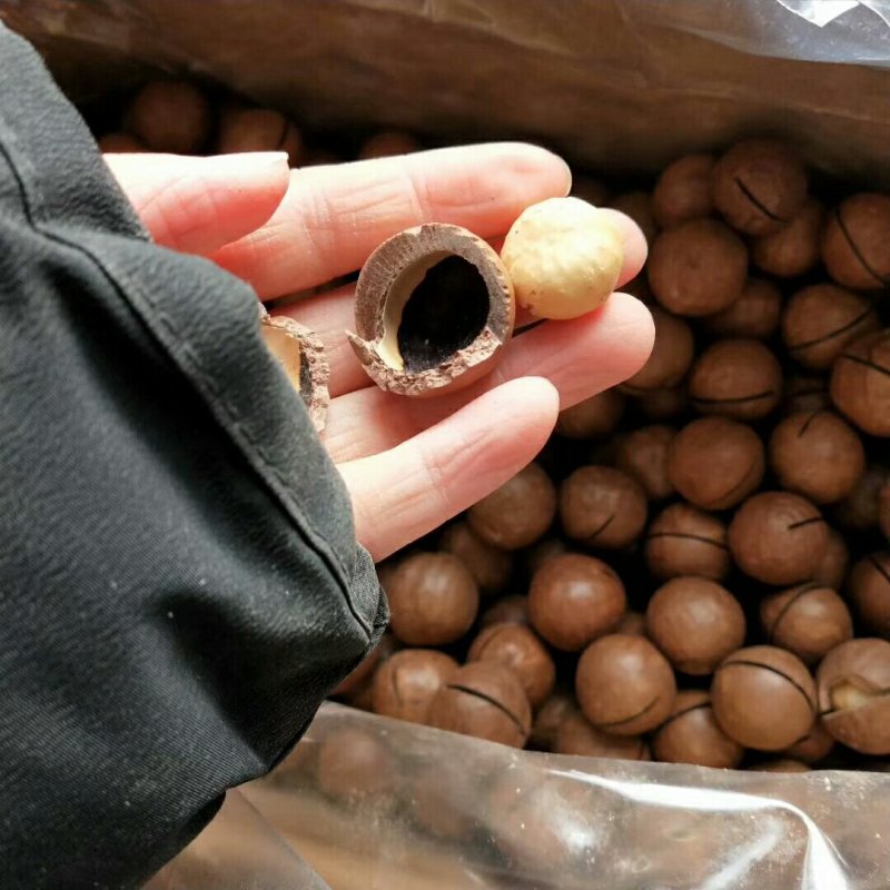 夏威夷大果奶香味特别好吃精河直发