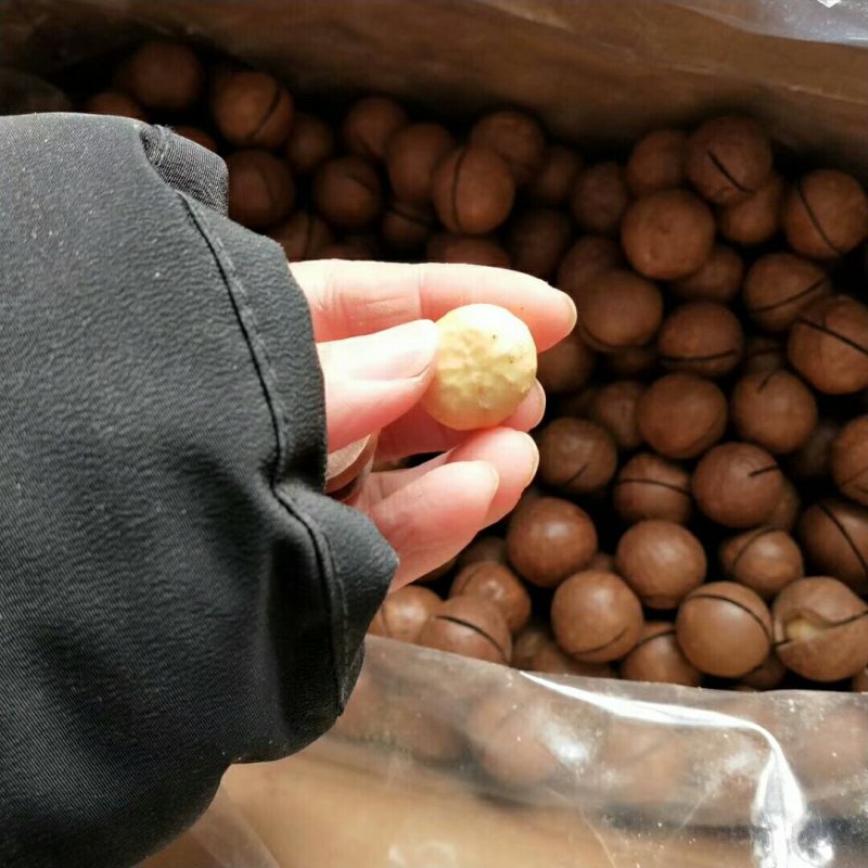 夏威夷大果奶香味特别好吃精河直发