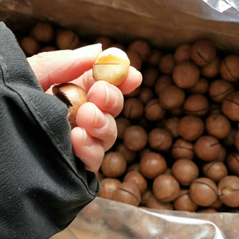 夏威夷大果奶香味特别好吃精河直发