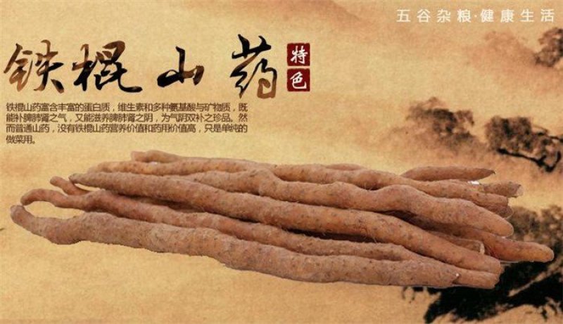 温县正宗垆土铁棍山药