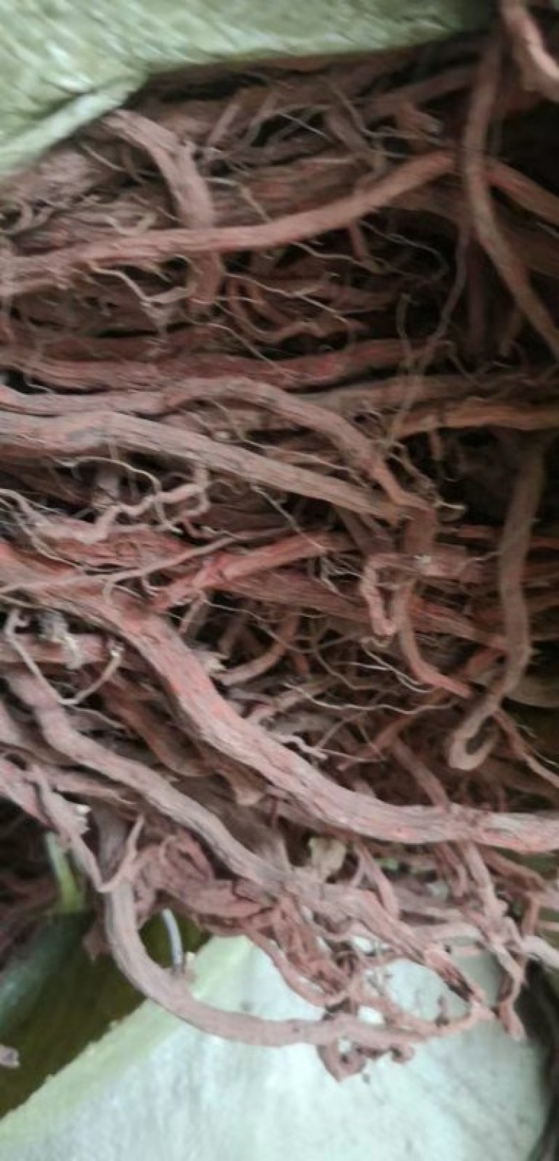 丹参，水洗丹参，丹参片
