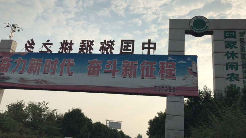 超甜徐香绿心猕猴桃陕西眉县原产地直供