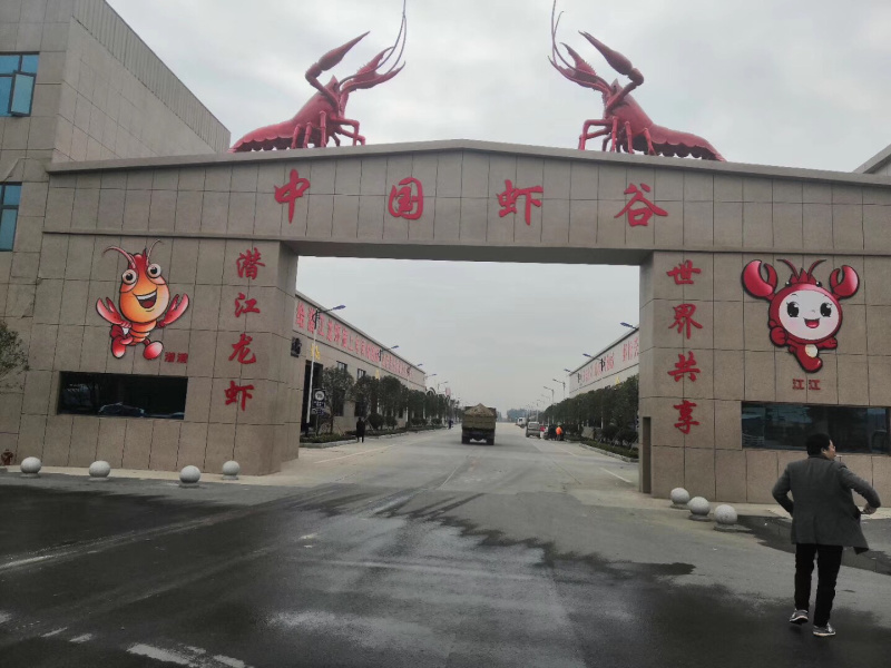 潜江大闸蟹母的各种规格50斤