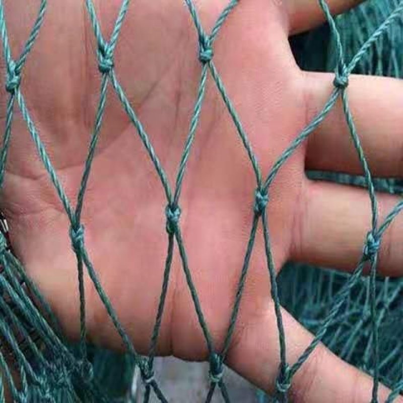 塑料家禽养殖山鸡养鸡网拦鸡围网防鸟网护栏瓜果爬藤网鱼
