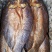腊鱼系列