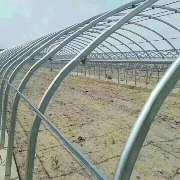 天津大棚管生产厂家