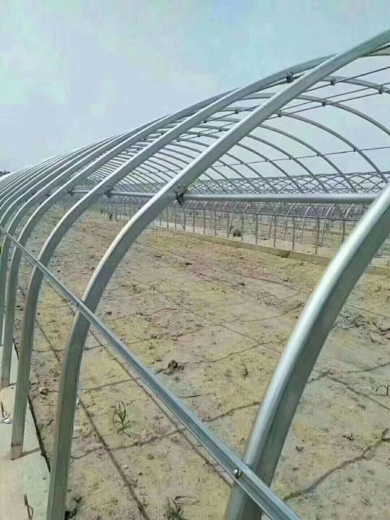 天津大棚管生产厂家