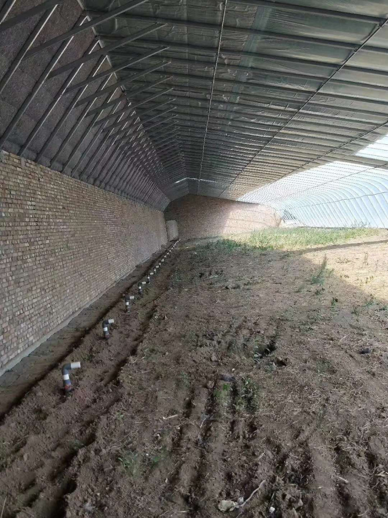 天津大棚管生产厂家