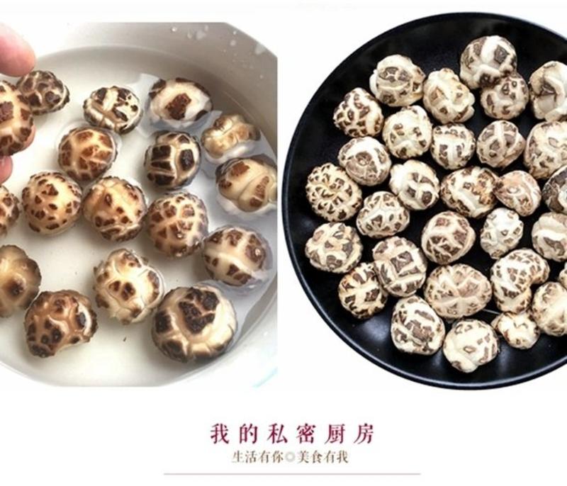 房县精品滑子菇小花菇珍珠菇1.0--1.5cm美味可口