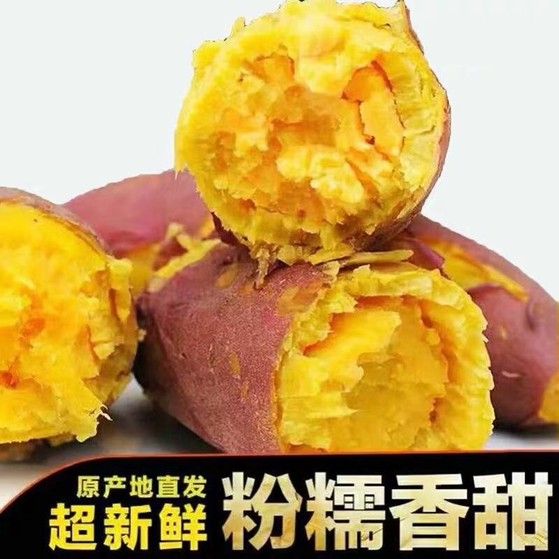 新鲜红薯鸡蛋黄粉糯香栗子薯黄心番薯板栗鸡蛋黄地瓜2/10