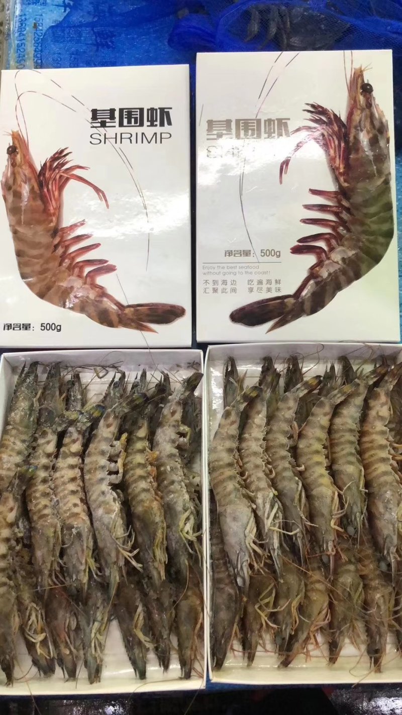 基围虾无污染海域出品超级棒