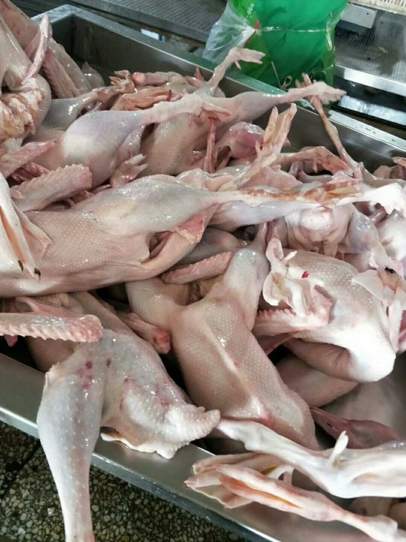 鸭翅根