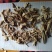 黄芪个棒不规则1000克批发零售品种齐全量大从优