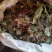 毛大丁，白头翁一支箭，兔耳风，自然风干，没水洗