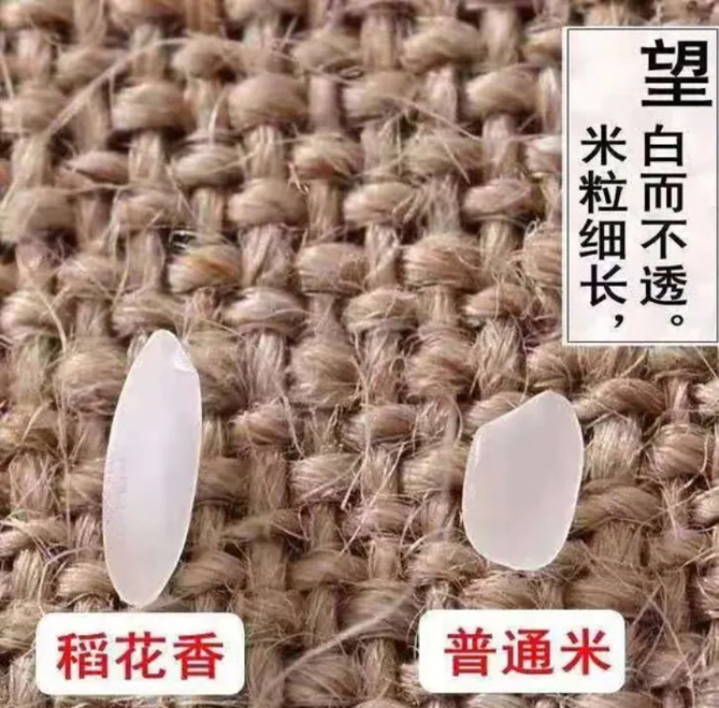 纯五常大米，稻花香二号，