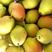 香梨梨子梨新鲜水果源自新疆库尔勒10/5/2斤批发红香酥