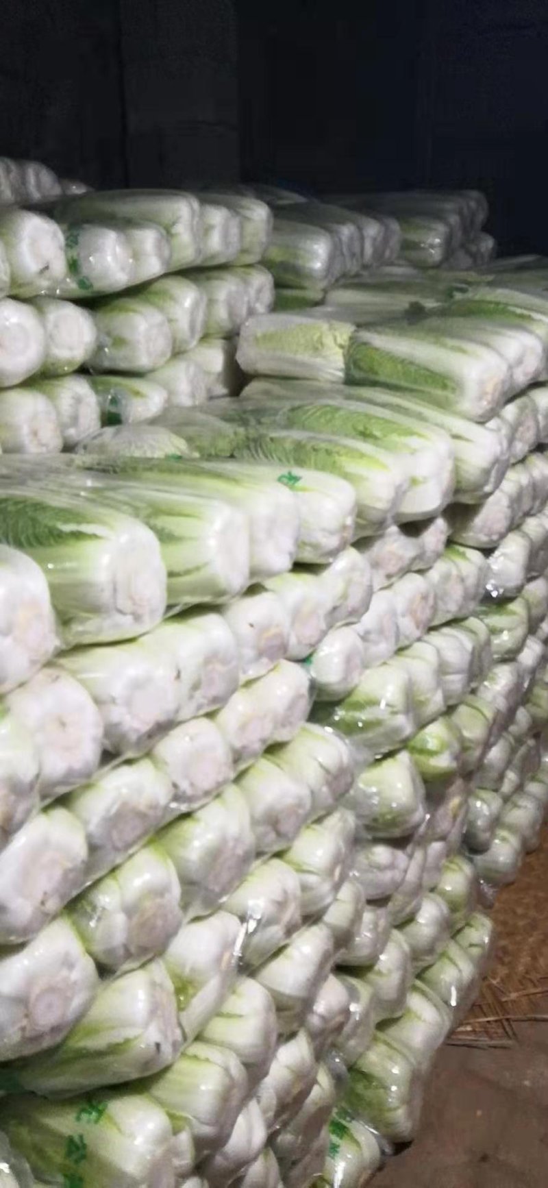 【精品】白菜北京三号精品扁包对头白菜产地直销质保价优