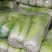【精品】白菜北京三号精品扁包对头白菜产地直销质保价优