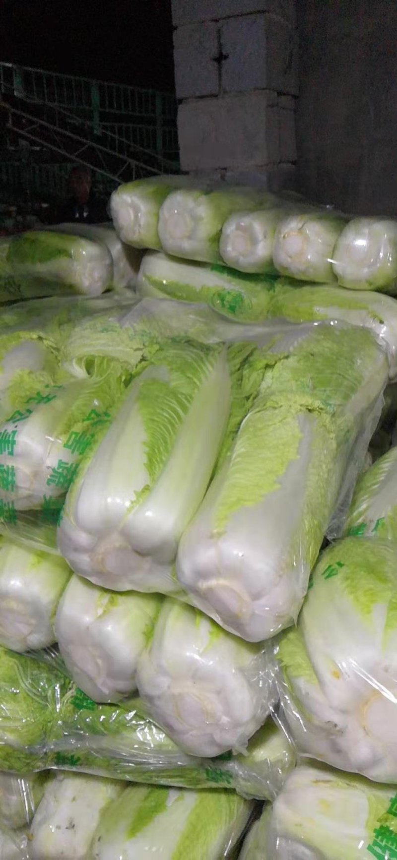 【精品】白菜北京三号精品扁包对头白菜产地直销质保价优