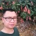 海南，代办，代发，贵妃芒，小台芒，金煌芒，要多少发多少对