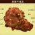 牛樟芝