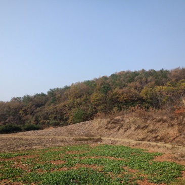 山地出租