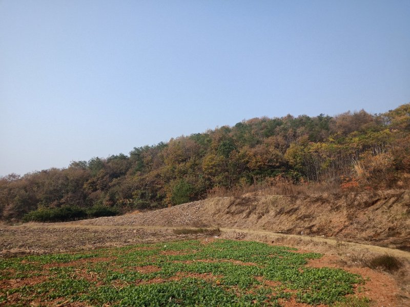山地出租