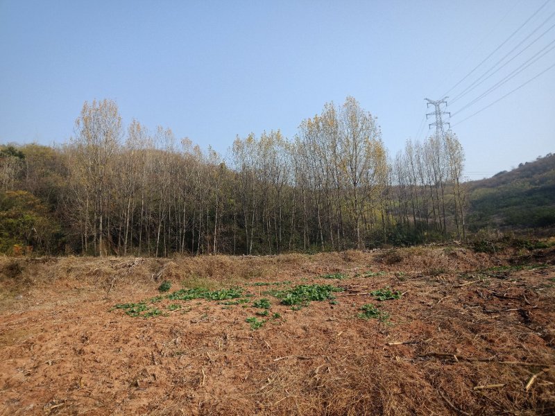 山地出租