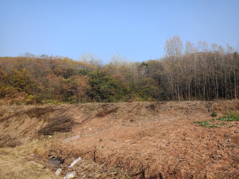 山地出租